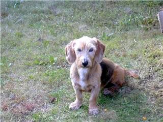 L'histoire de margot